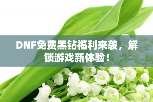 DNF免费黑钻福利来袭图片