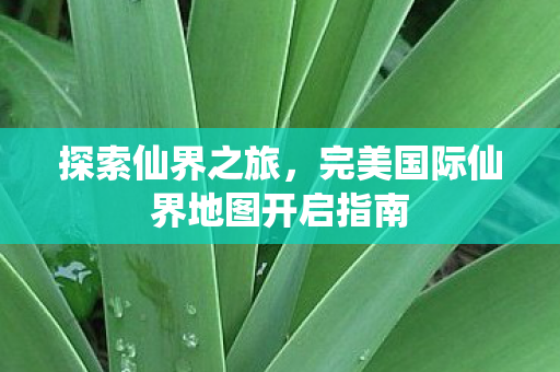 完美国际仙界地图开启指南图片