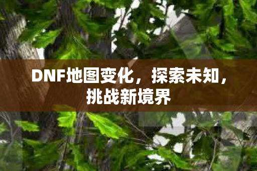 DNF地图变化图片