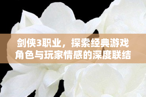探索经典游戏角色与玩家情感的深度联结图片