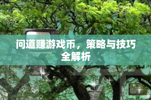 策略与技巧全解析图片
