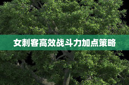 女刺客高效战斗力加点策略图片