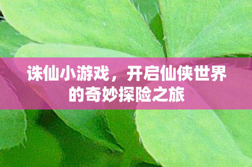 开启仙侠世界的奇妙探险之旅图片
