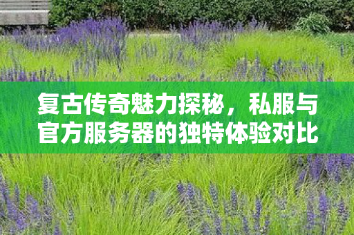 私服与官方服务器的独特体验对比图片