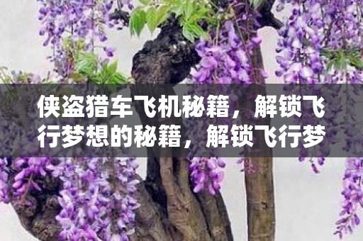 侠盗猎车飞机秘籍,解锁飞行梦想的秘籍,解锁飞行梦想,侠盗猎车飞机秘籍全解析 侠盗猎车飞机秘籍,解锁飞行梦想的秘籍,解锁飞行梦想,侠盗猎车飞机秘籍全解析