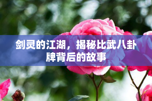 揭秘比武八卦牌背后的故事图片