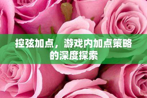 游戏内加点策略的深度探索图片
