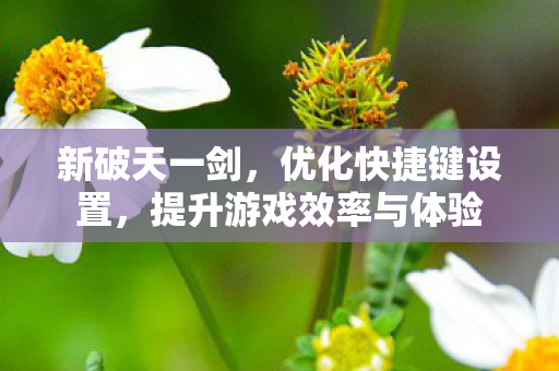 提升游戏效率与体验图片