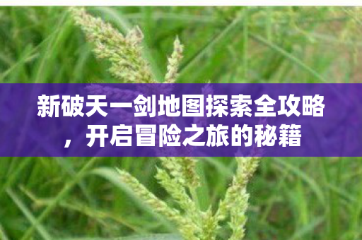 新破天一剑地图探索全攻略图片