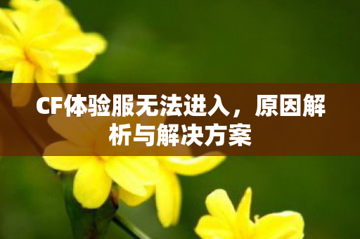 CF体验服无法进入图片
