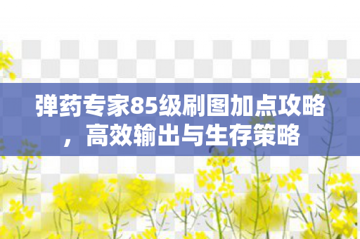 弹药专家85级刷图加点攻略图片