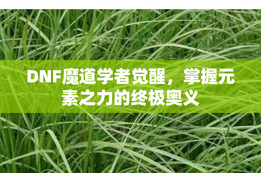 掌握元素之力的终极奥义图片