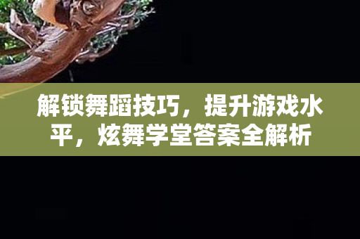 炫舞学堂答案全解析图片