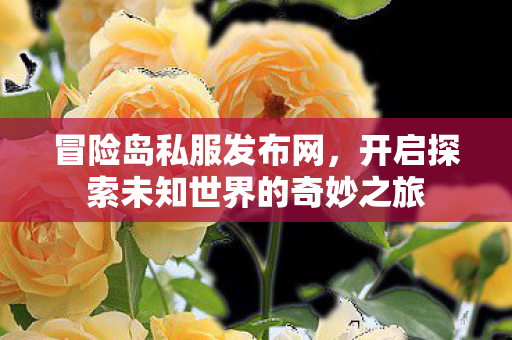 冒险岛私服发布网,开启探索未知世界的奇妙之旅 冒险岛私服发布网,开启探索未知世界的奇妙之旅