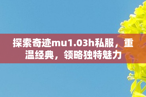 探索奇迹mu1.03h私服，重温经典，领略独特魅力
