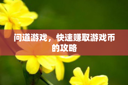 快速赚取游戏币的攻略图片