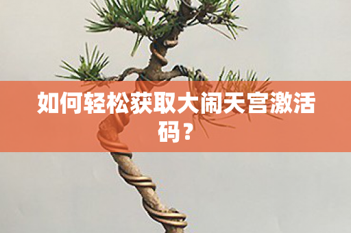 如何轻松获取大闹天宫激活码图片