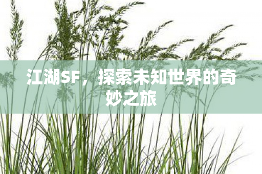 探索未知世界的奇妙之旅图片