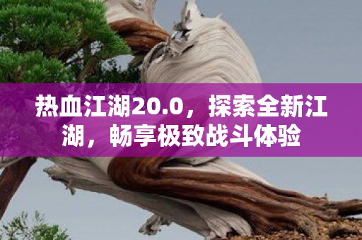 畅享极致战斗体验图片
