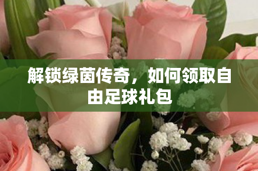如何领取自由足球礼包图片