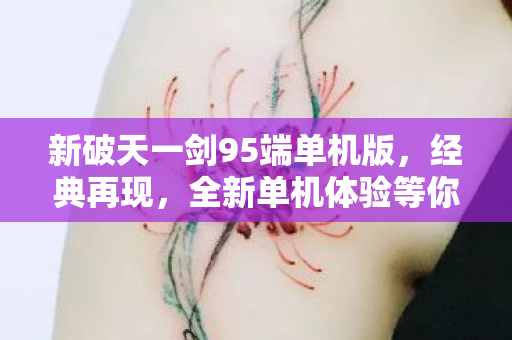 新破天一剑95端单机版图片