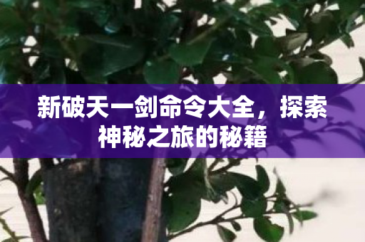 新破天一剑命令大全图片