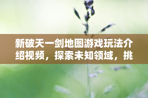 新破天一剑地图游戏玩法介绍视频图片