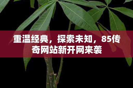 85传奇网站新开网来袭图片