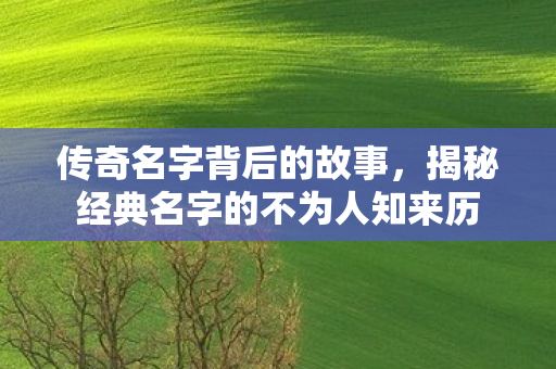 揭秘经典名字的不为人知来历图片