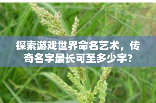 传奇名字最长可至多少字图片