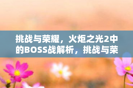 挑战与荣耀,火炬之光2中的BOSS战解析,挑战与荣耀,火炬之光2BOSS战深度解析 挑战与荣耀,火炬之光2中的BOSS战解析,挑战与荣耀,火炬之光2BOSS战深度解析