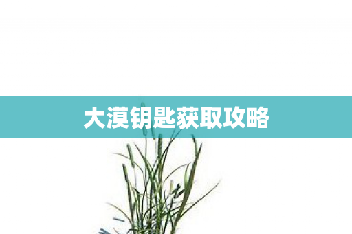 大漠钥匙获取攻略 大漠钥匙获取攻略