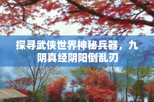 探寻武侠世界神秘兵器图片