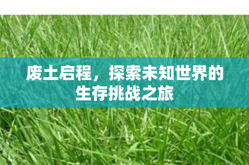 废土启程,探索未知世界的生存挑战之旅 废土启程,探索未知世界的生存挑战之旅