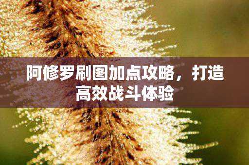 阿修罗刷图加点攻略图片