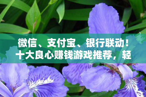 十大良心赚钱游戏推荐图片