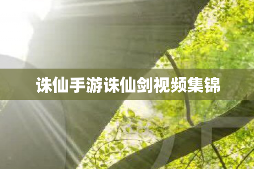 诛仙手游诛仙剑视频集锦图片