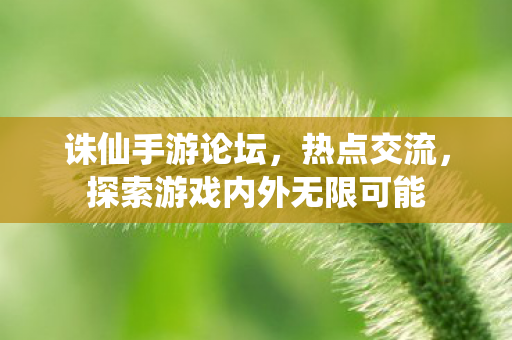 探索游戏内外无限可能图片