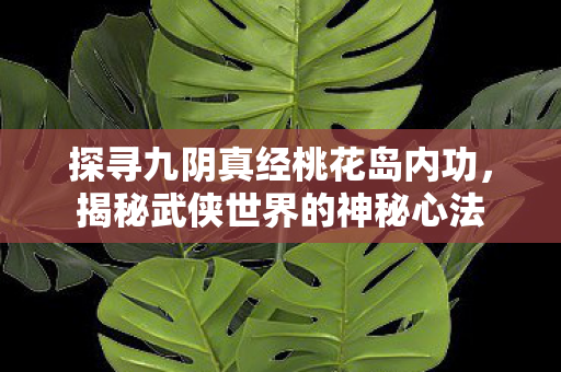 探寻九阴真经桃花岛内功图片