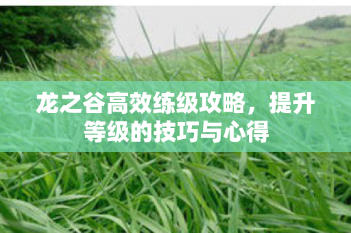 提升等级的技巧与心得图片