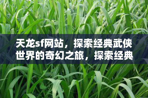 天龙sf网站,探索经典武侠世界的奇幻之旅,探索经典武侠世界的奇幻之旅,天龙sf网站 天龙sf网站,探索经典武侠世界的奇幻之旅,探索经典武侠世界的奇幻之旅,天龙sf网站