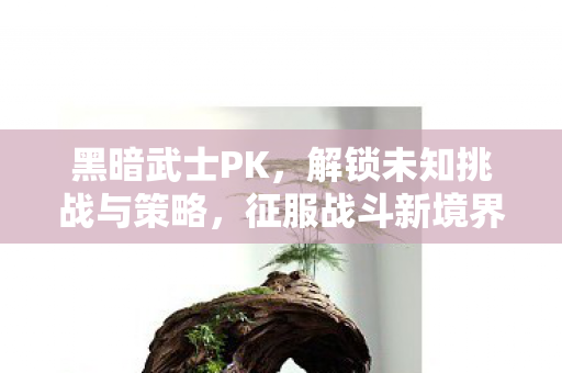 解锁未知挑战与策略图片
