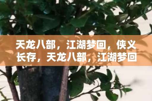 天龙八部图片
