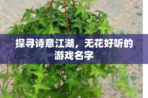 无花好听的游戏名字图片