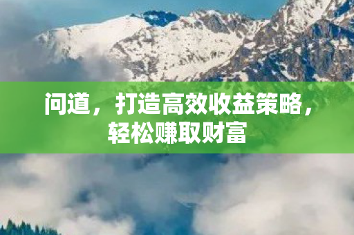 打造高效收益策略图片