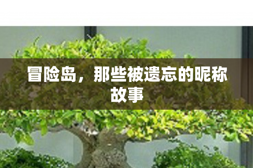 那些被遗忘的昵称故事图片