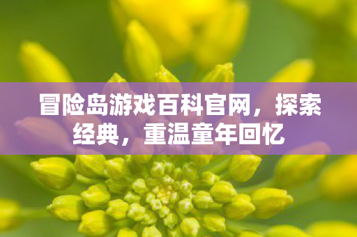 冒险岛游戏百科官网图片