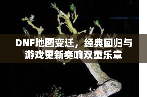 经典回归与游戏更新奏响双重乐章图片