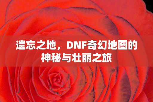 DNF奇幻地图的神秘与壮丽之旅图片