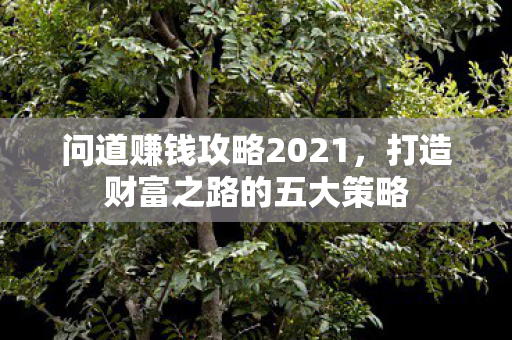 打造财富之路的五大策略图片